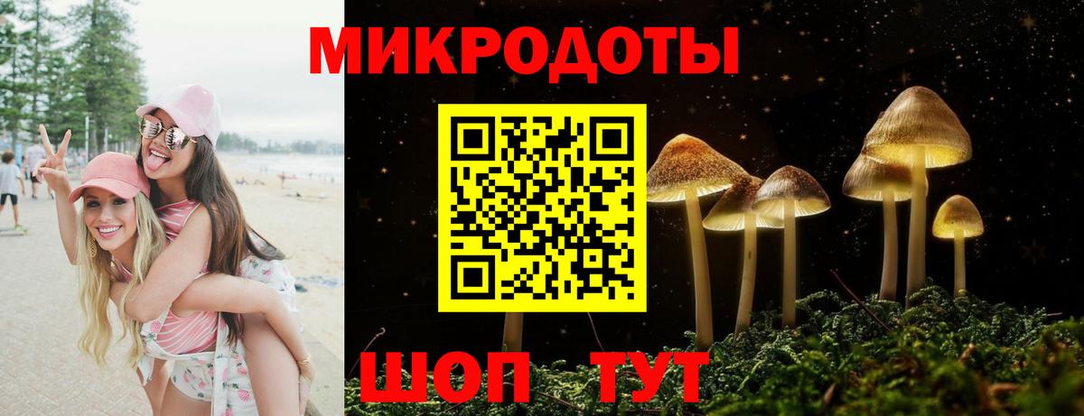 Псилоцибиновые грибы прущие грибы Ступино